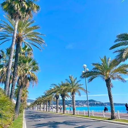 Apartment Tres Cosy, En Plein Centre-ville, Proximite Plage, Centre Nizza